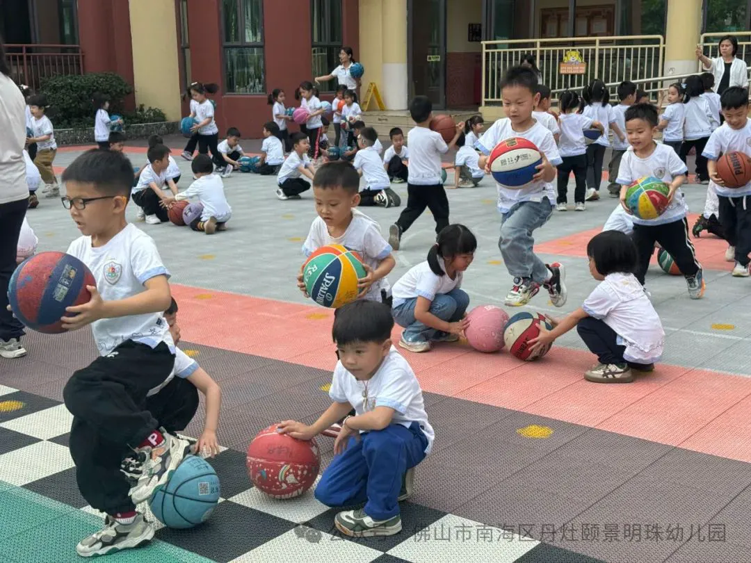 哪里能找到智能篮球训练的应用程序_1